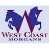 West Coast Morgans  company logo