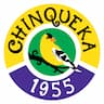 Awosting Chinqueka company logo