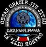 DARKWOLF MMA company logo