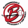 Bloomingdale Youth Sports Association company logo