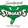 Seabrook Stingrays Swim Team company logo