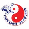 Tiger Spirit Tae Kwon Do company logo