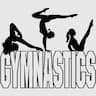 Elite Gymnastics Center company logo