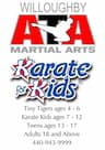 Willoughby ATA Martial arts and Karate for Kids company logo