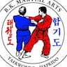 B.K. Martial Arts company logo