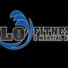 FLO Fitness and Martial Arts company logo