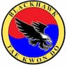 Blackhawk TaeKwonDo company logo