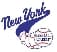 New York Baseball Academy company logo