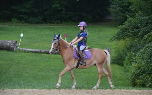 a girl riding a horse