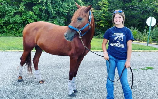 a person walking a horse